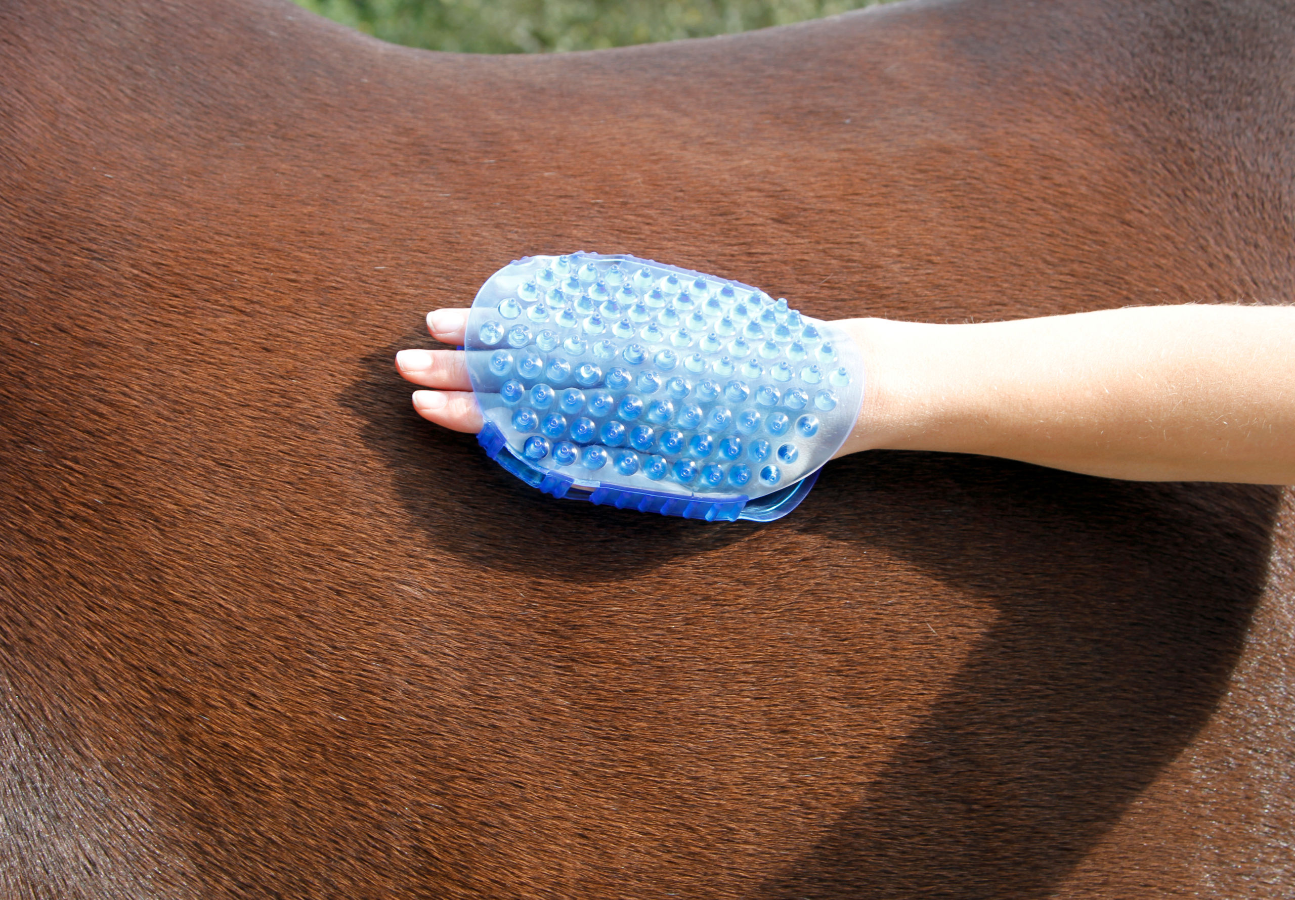 Magnet-Massagestriegel royalblau