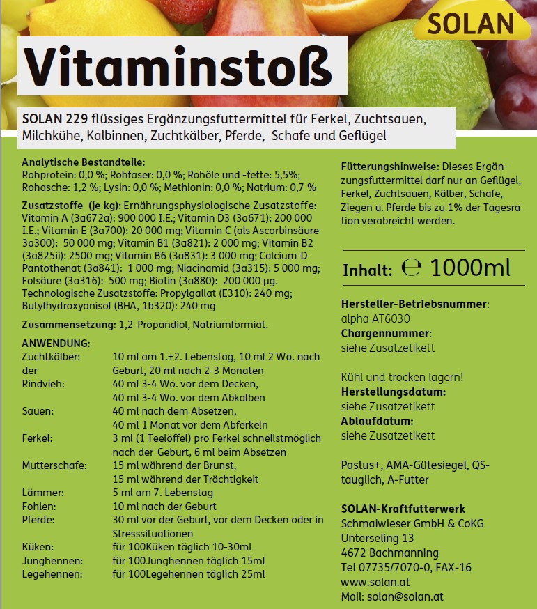 Vitaminstoß, 1L